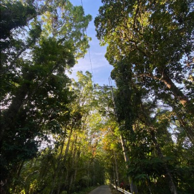 April 🇵🇭 post 3