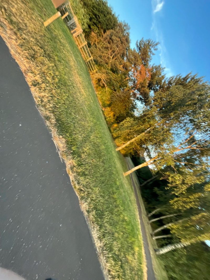 walking near me in Biddenham Woodland Park in winter