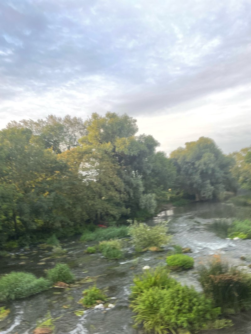 walking near me in Bromham Park in winter