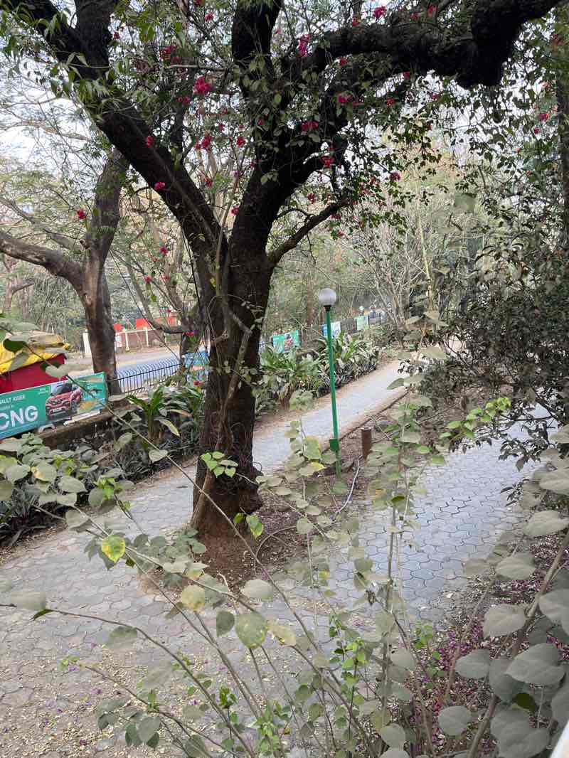 walking near me in Nana Nani Park in winter