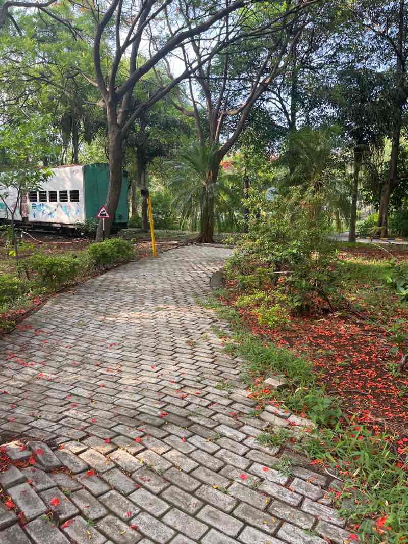 walking near me in Trafic Garden in spring