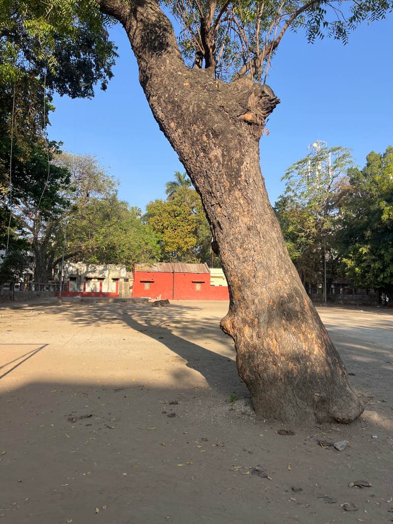 walking near me in Tuta Bagicha in spring