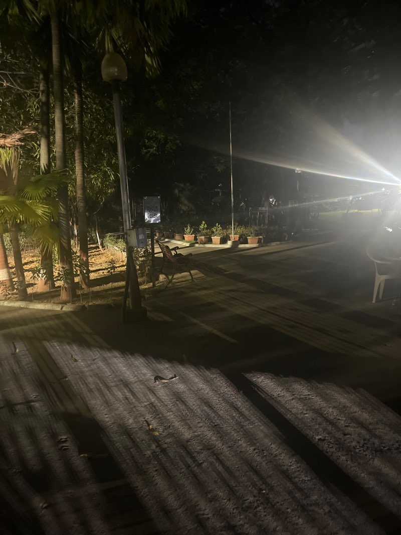 walking near me in Mahatma Phule Park in spring