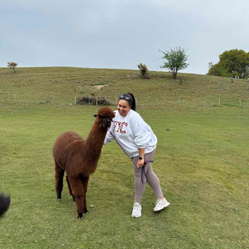 Industrious Challenge Group @HRLH92 post image