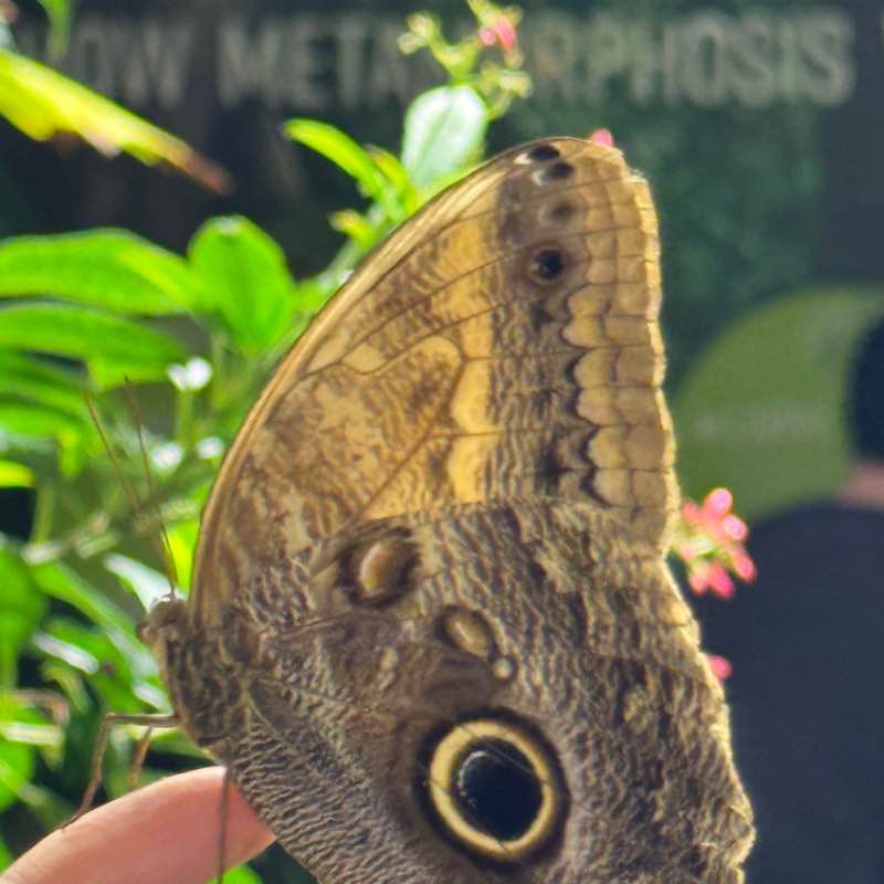 АюнаМарафон gelleranna78 post image