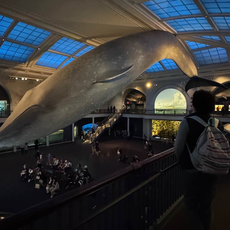 АюнаМарафон gelleranna78 post image