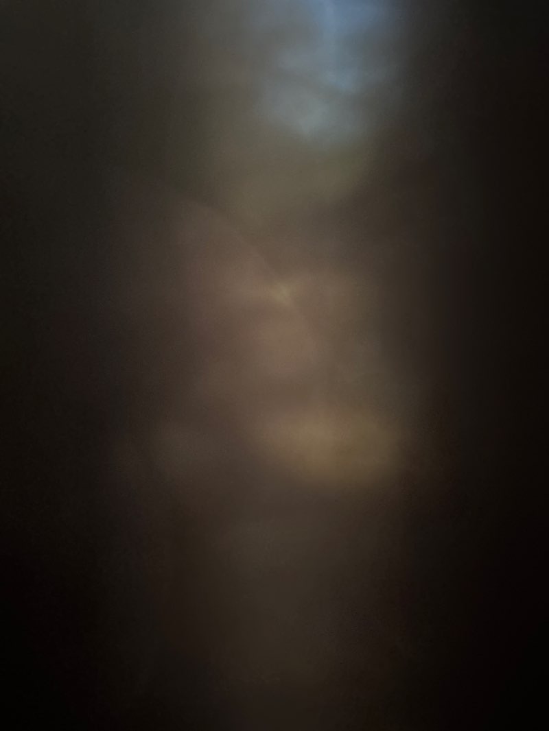 walking near me in Lemon Bay Park in winter