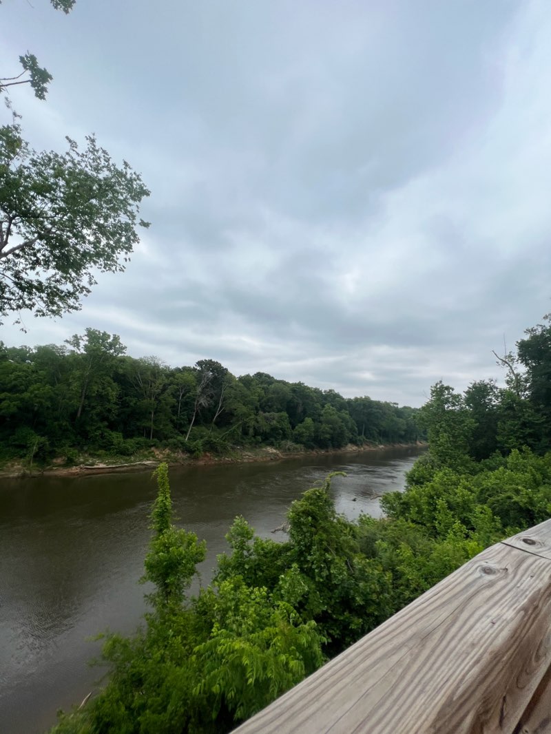 walking near me in Cape Fear River Trail & Bike Path in winter