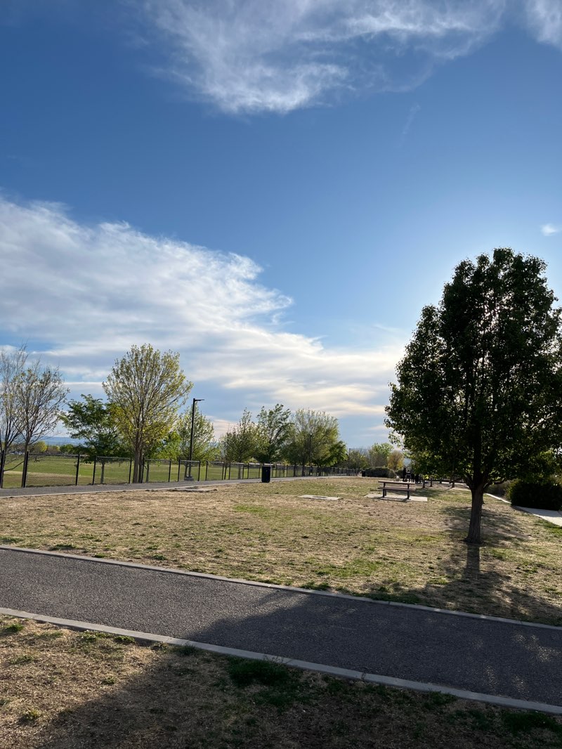 walking near me in North Domingo Baca Park in spring