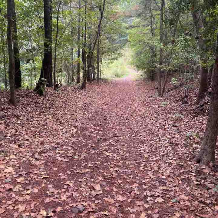 Amsal Haiderali post 1