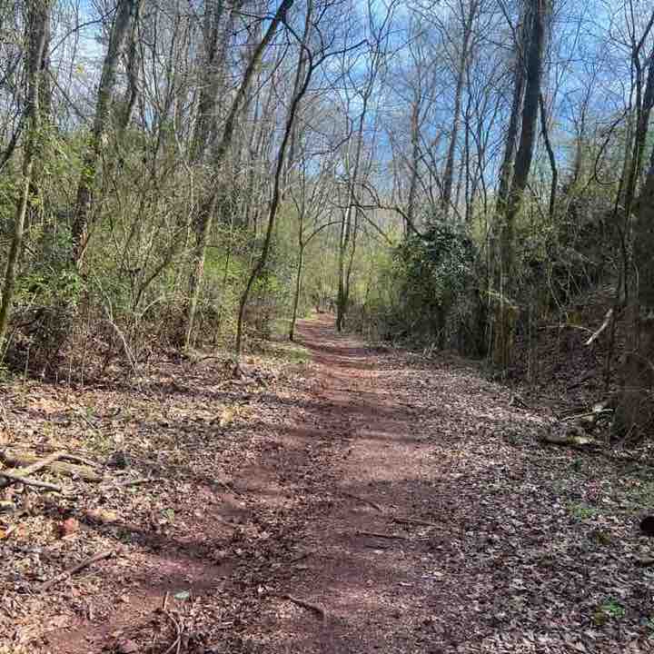 Amsal Haiderali post 1