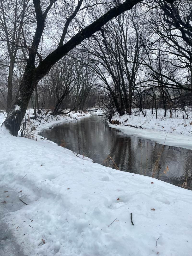 walking near me in Bear Creek Park in winter