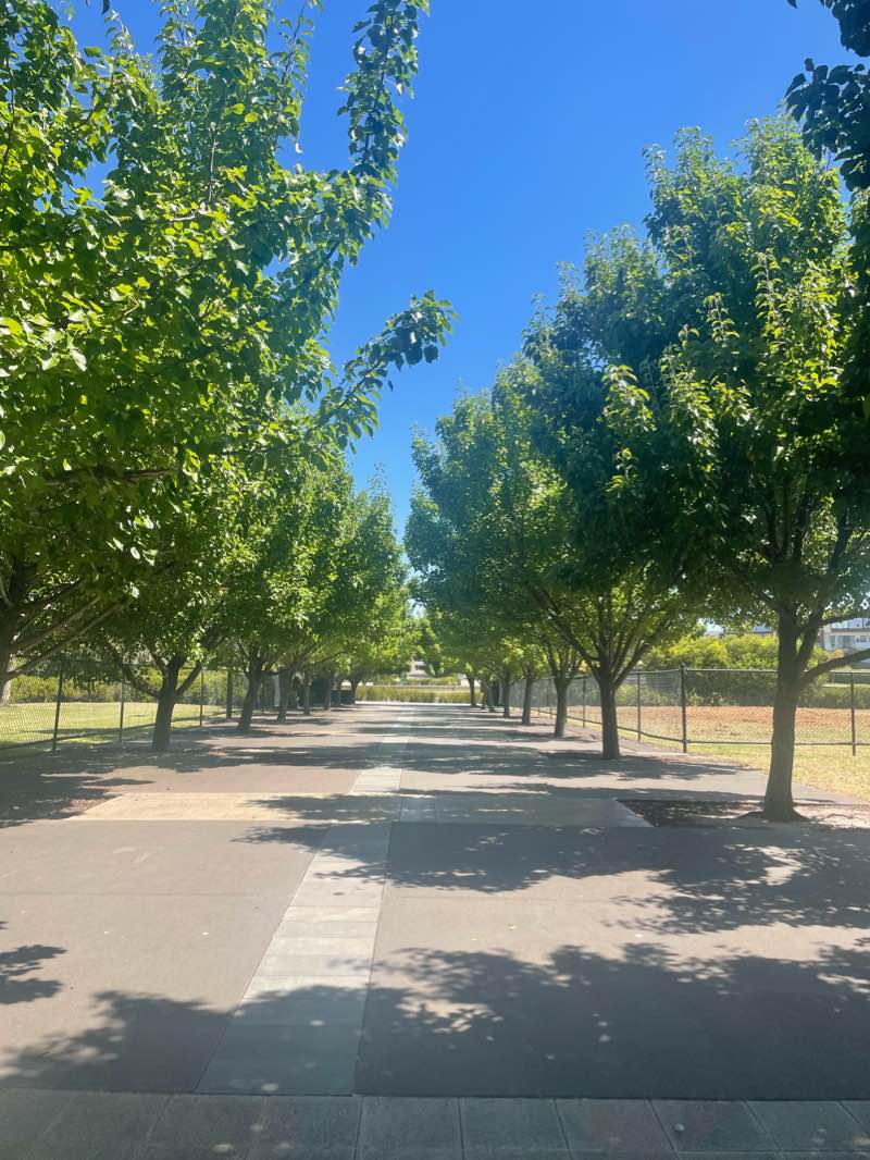 walking near me in Highlands Park in summer