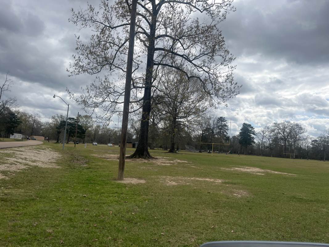 walking near me in South Park in winter