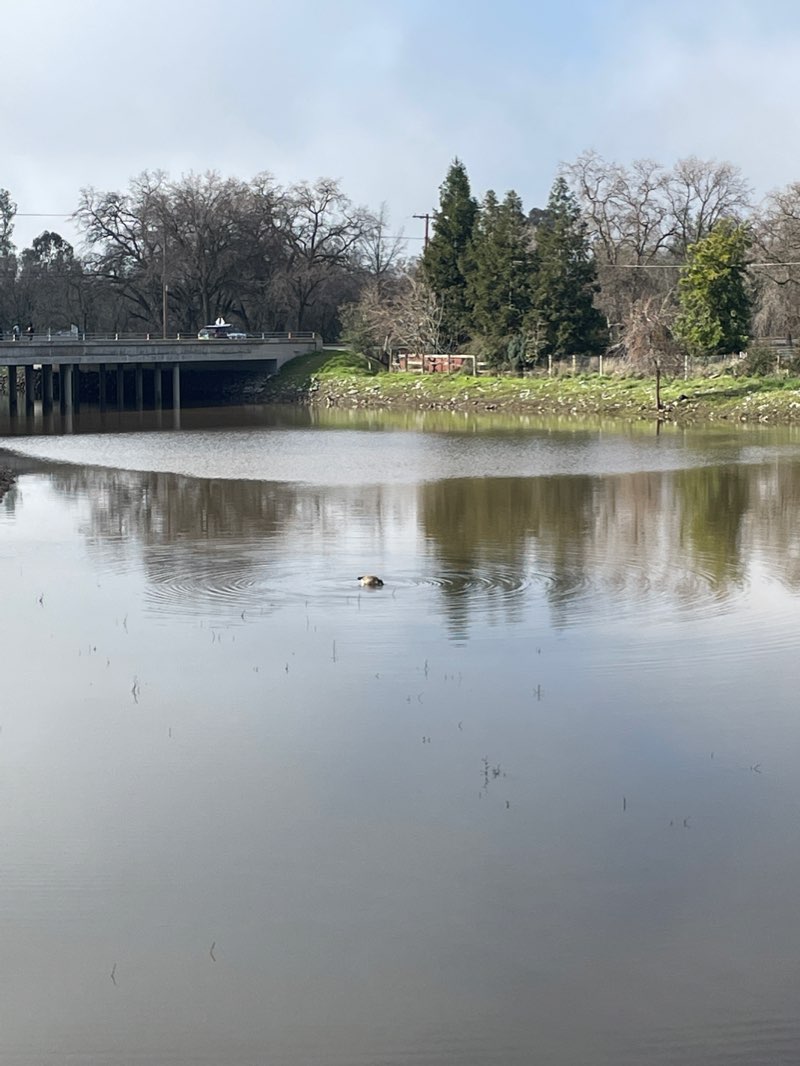 walking near me in Depot Park in winter