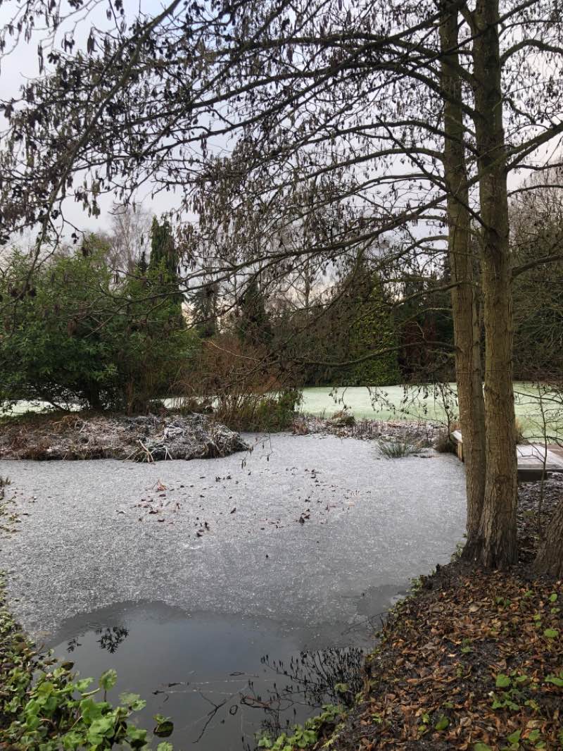 walking near me in Victoria Park in winter
