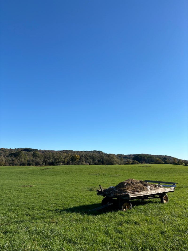 walking near me in Hamilton Village Green in autumn