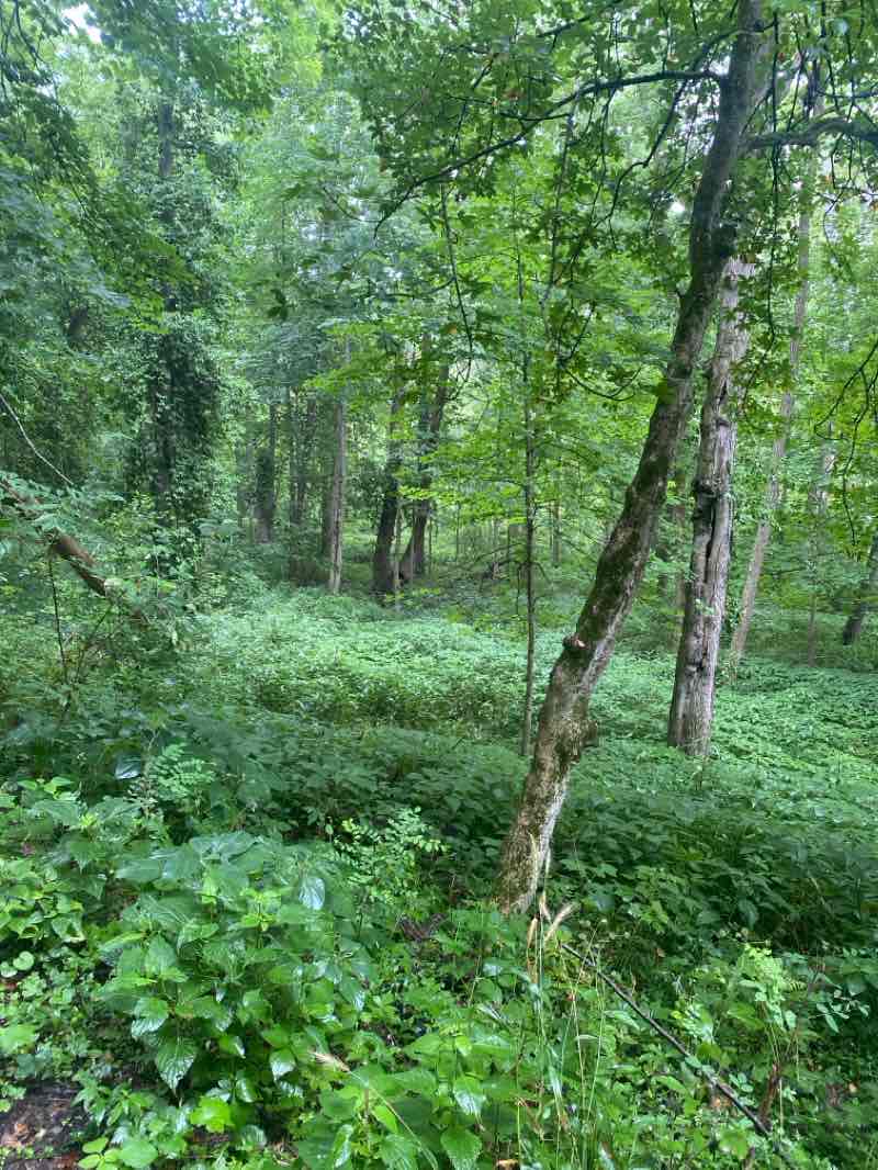 walking near me in Wayne County Veterans Memorial Park in winter