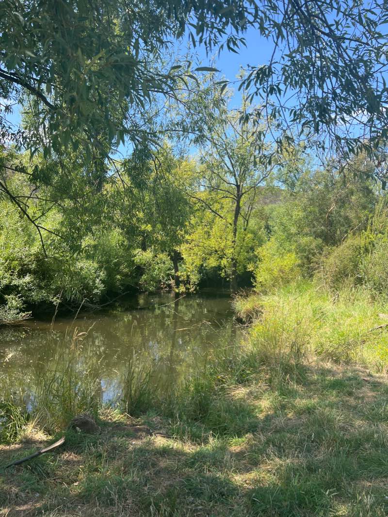 walking near me in Tynwald Park in summer