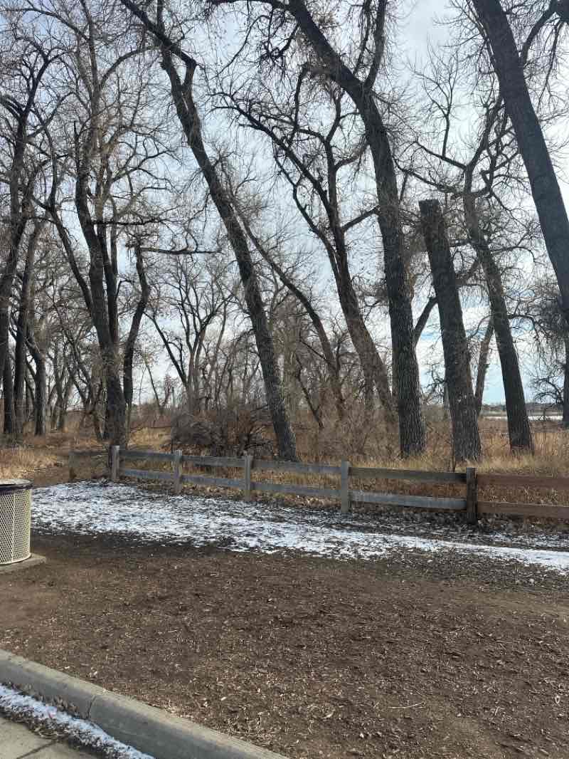 walking near me in Broomfield McKay Bike Park in winter