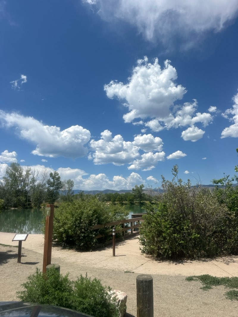 walking near me in Tom Watson Park in summer