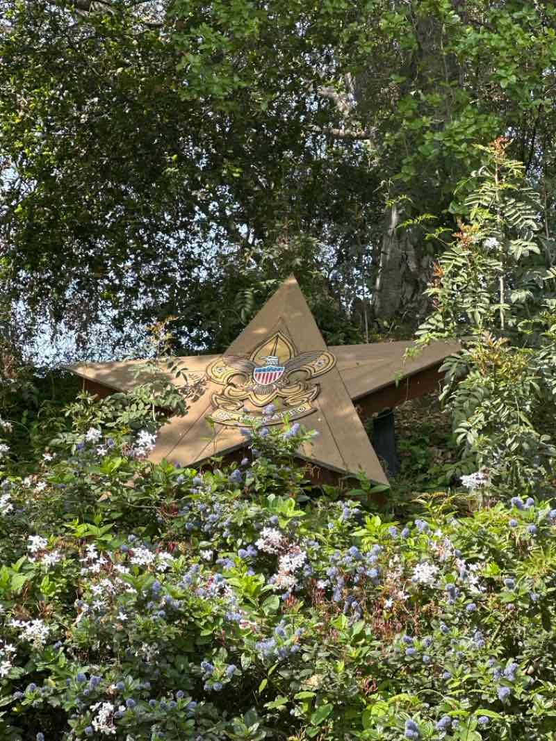 walking near me in Crown Valley Community Park in spring