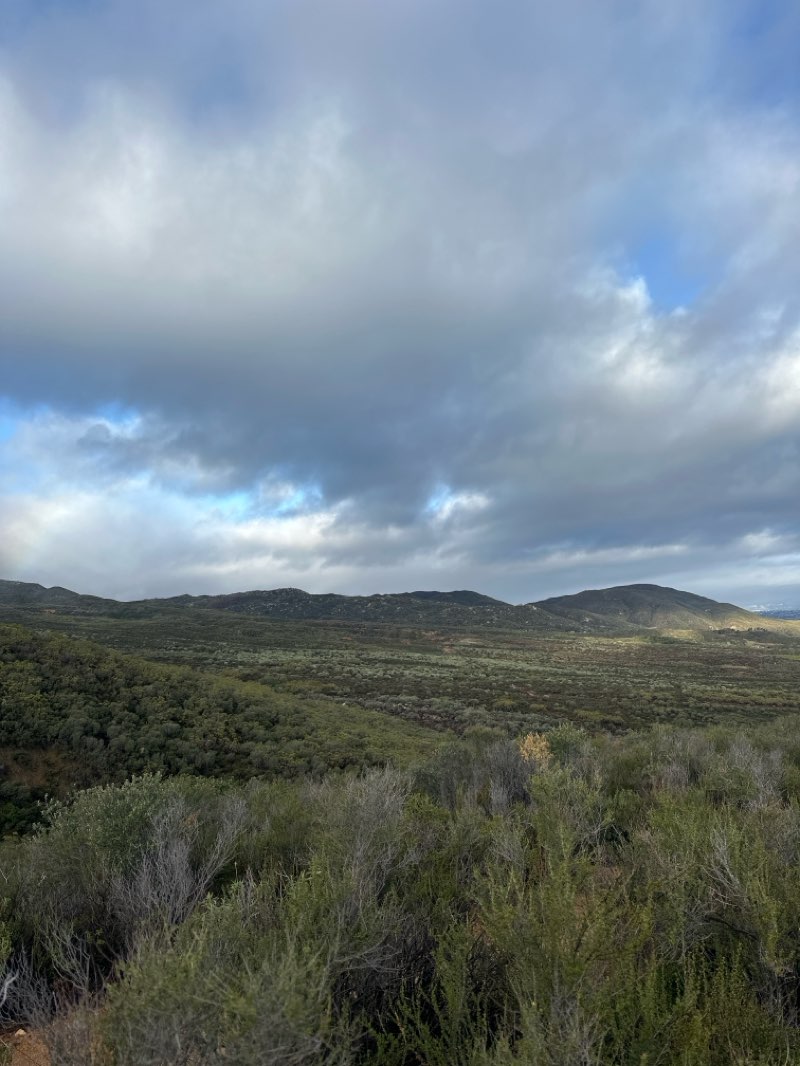 walking near me in Agua Tibia Wilderness in spring