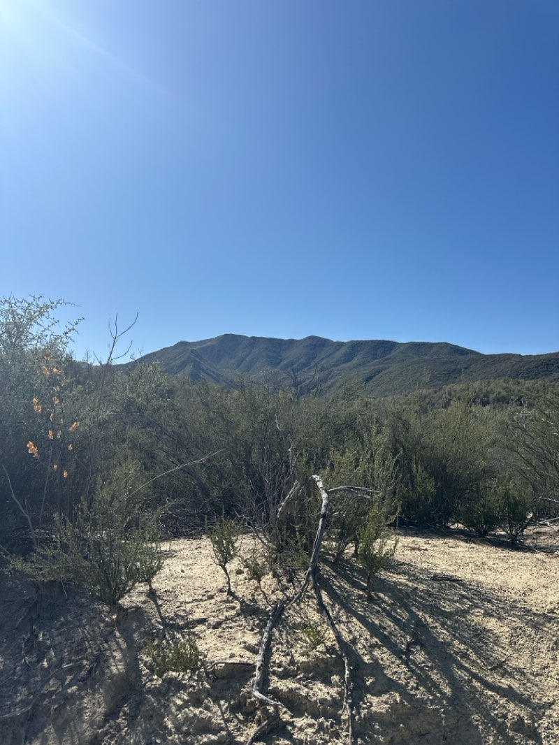 walking near me in Sespe Wilderness in spring
