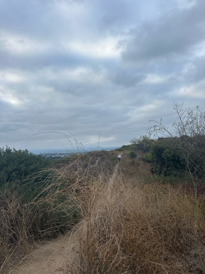 walking near me in Robert E. Ward Nature Preserve in summer