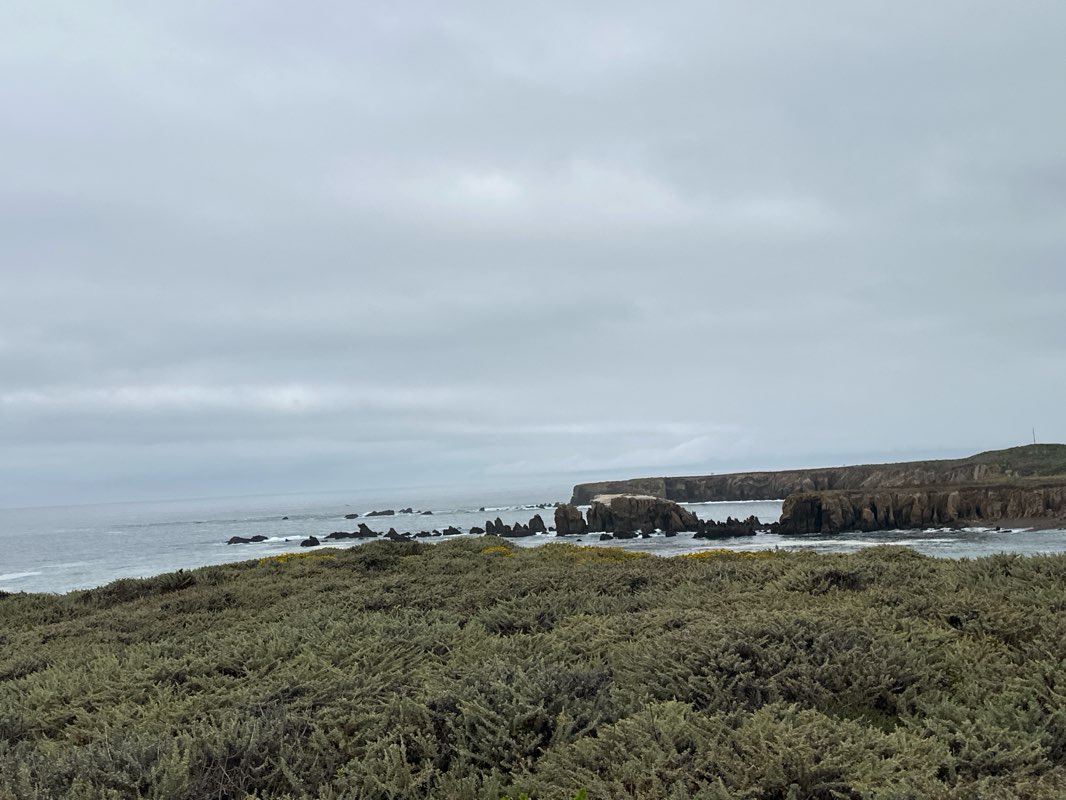 walking near me in Montaña de Oro State Park in summer