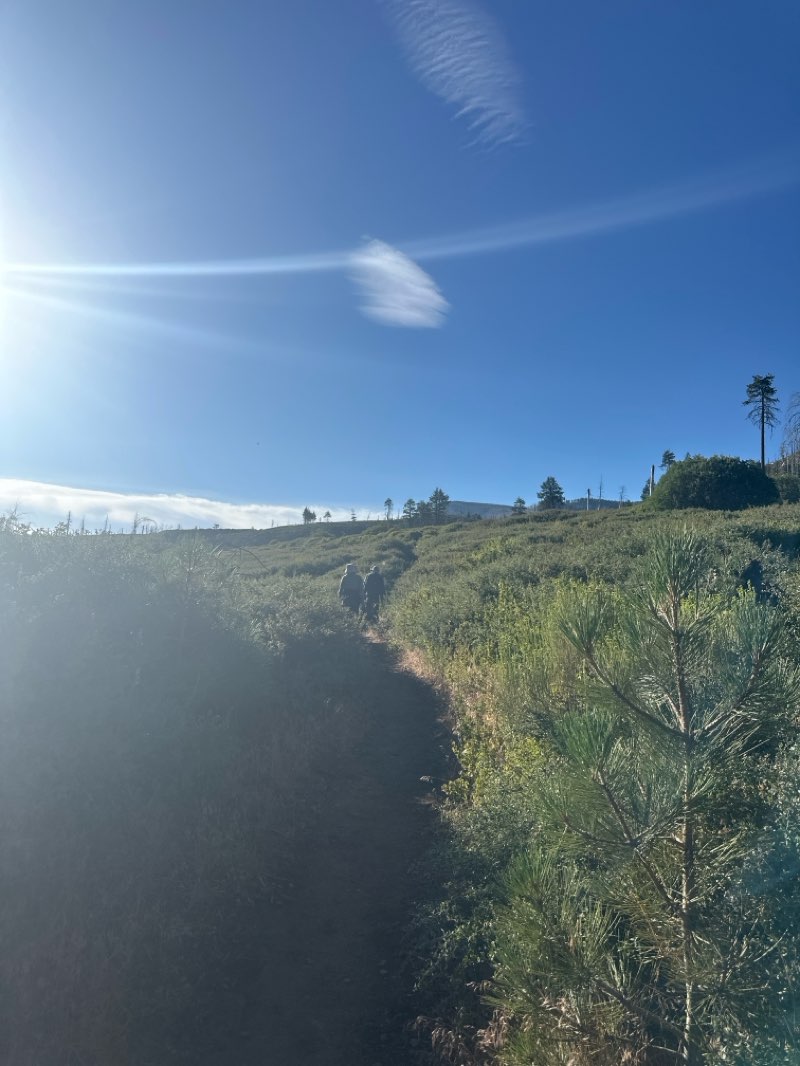 walking near me in Sand to Snow National Monument in summer