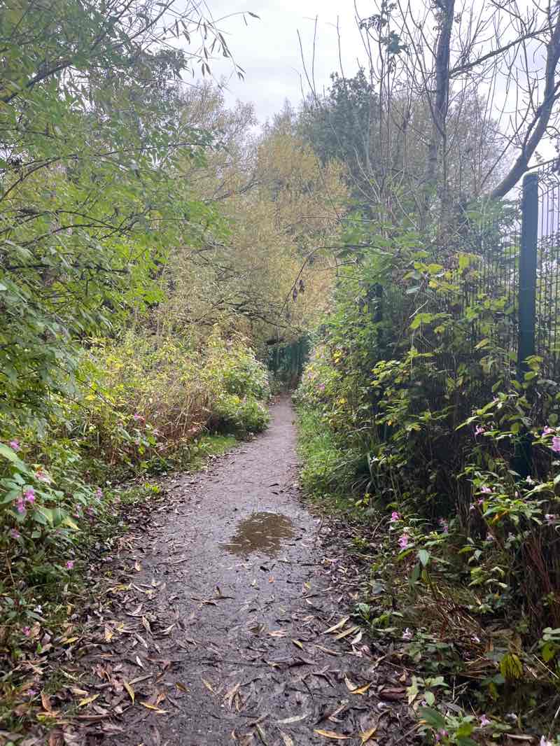 walking near me in Bruntwood Park in autumn