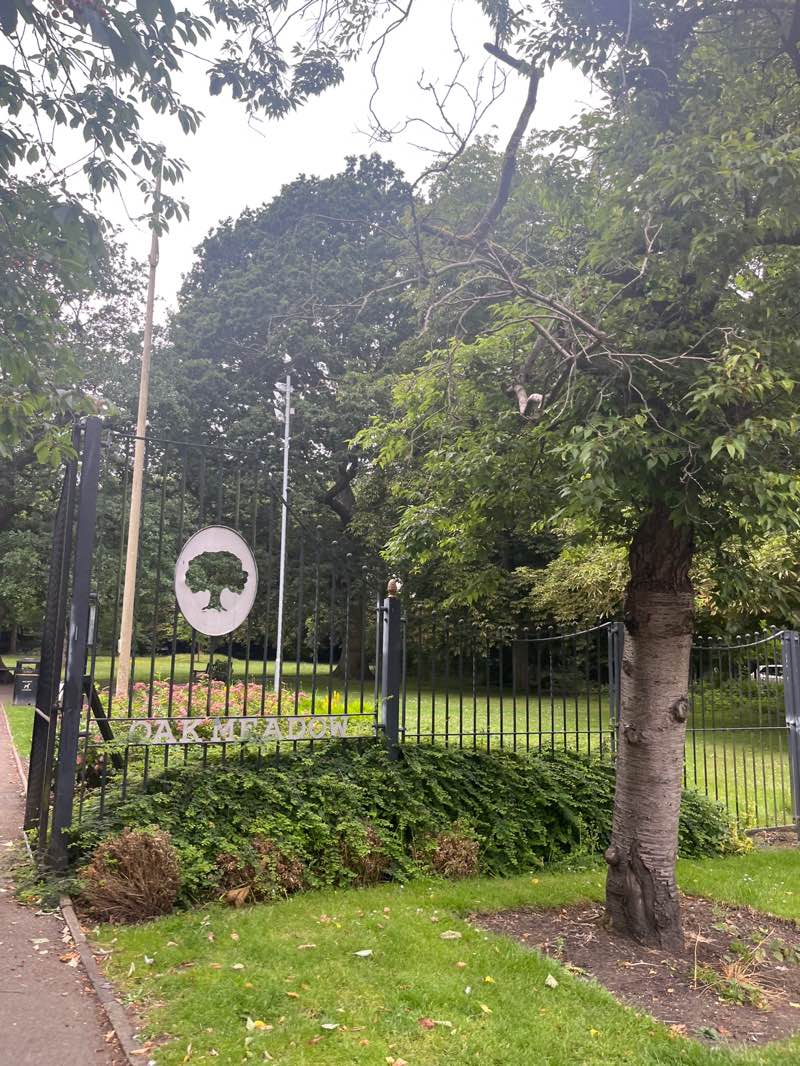 walking near me in Oak Meadow Park in summer