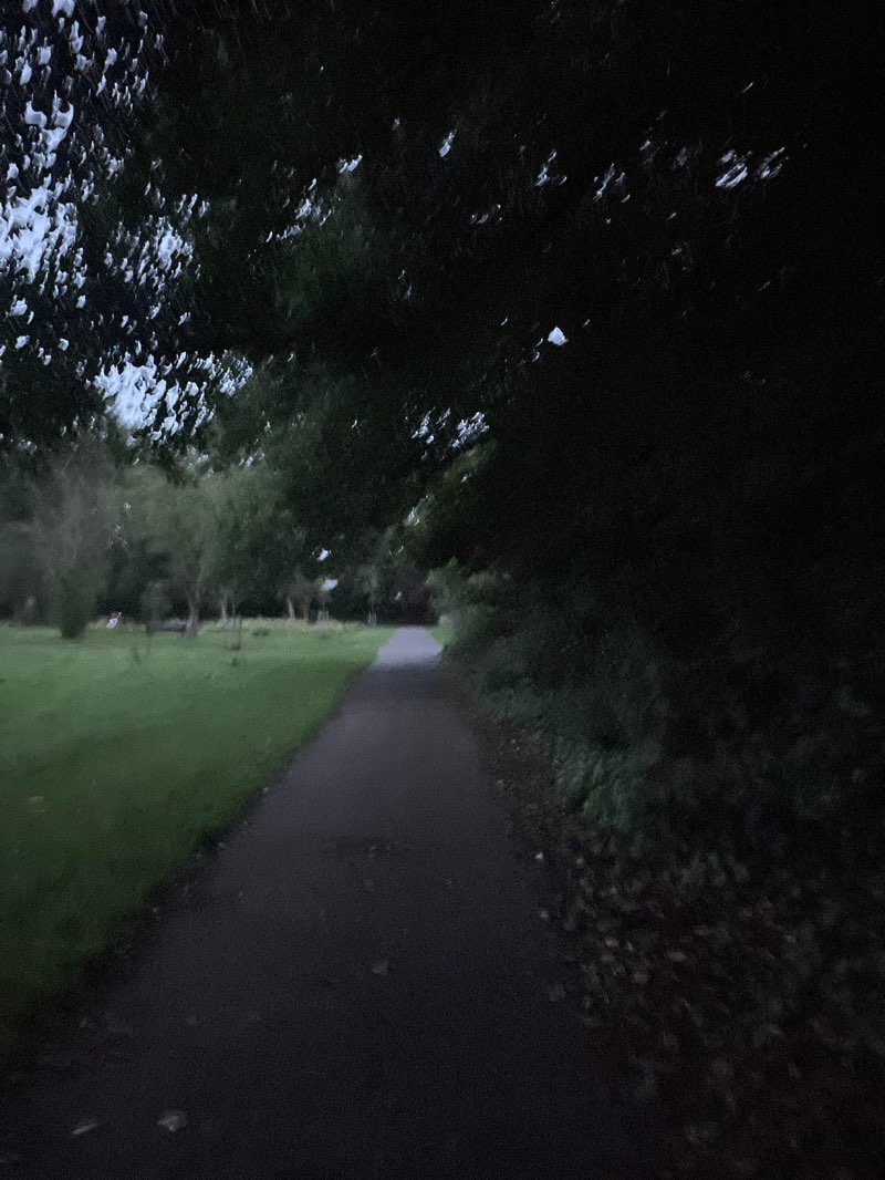 walking near me in Fog Lane Park in autumn