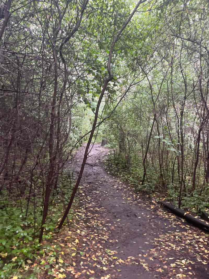 walking near me in Highfield Country Park in autumn