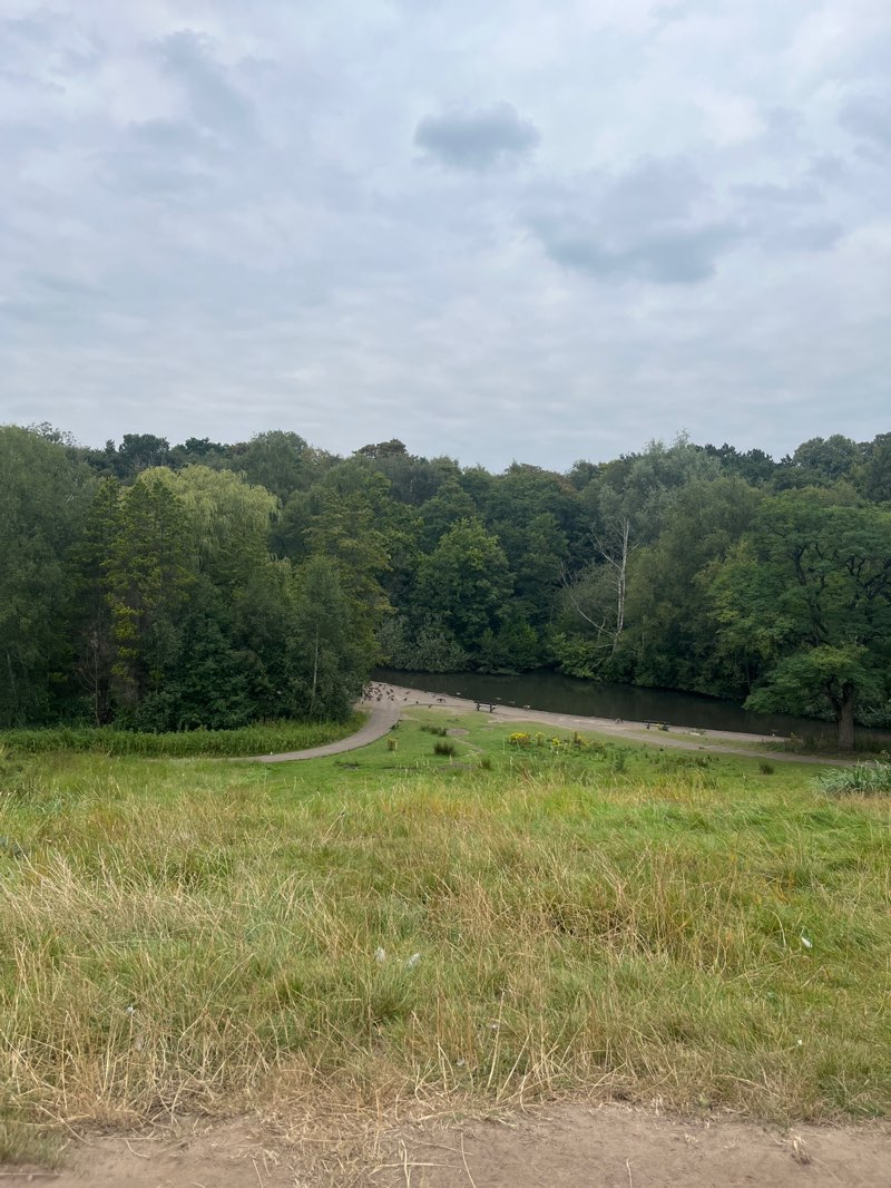 walking near me in Bramhall Park in autumn