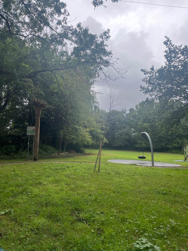 walking near me in Heathbank Park in autumn