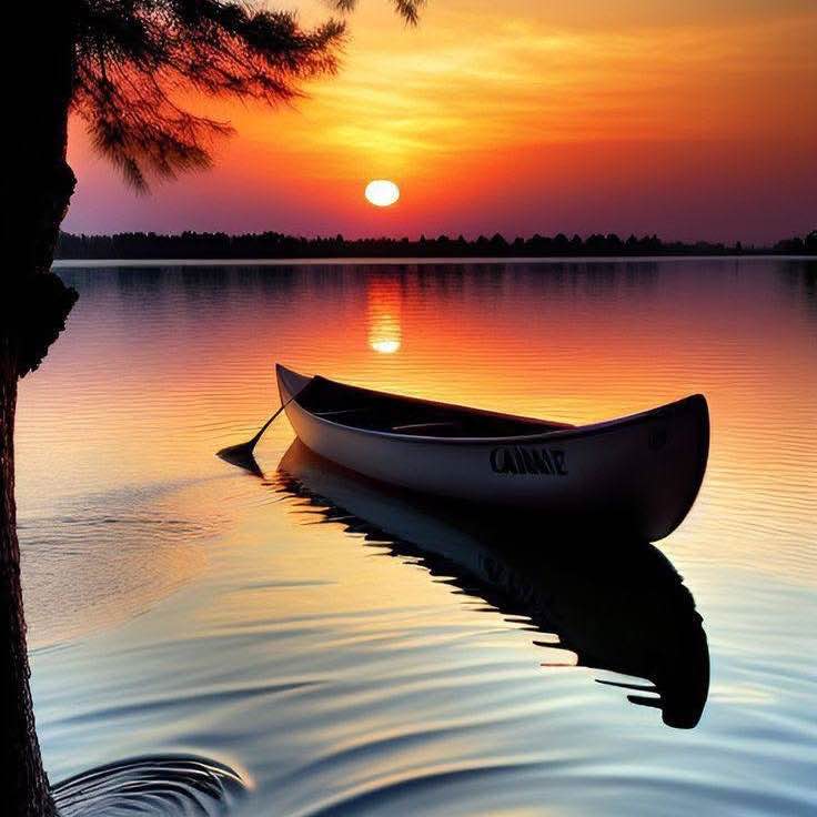 Pakistan Fitness Squad Séverine 💐🌸🌺☘️ post image