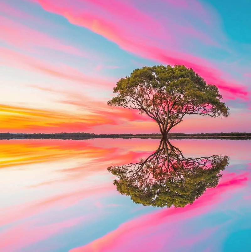 Pakistan Fitness Squad Séverine 💐🌸🌺☘️ post image