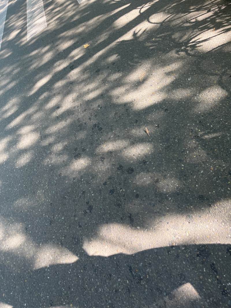 walking near me in Parque El Poblado in winter