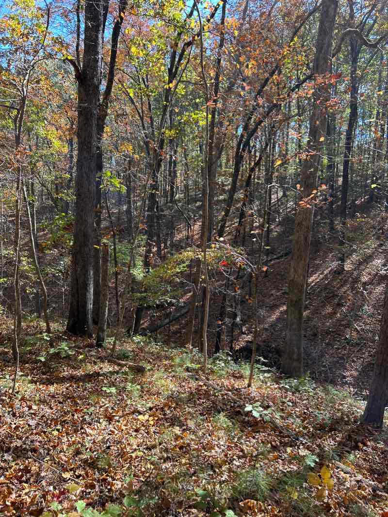 walking near me in Picketts Mill Battlefield State Historical Site in winter