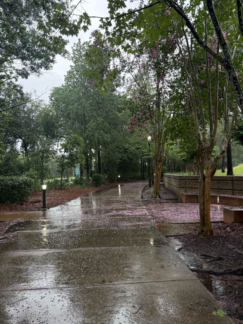 walking near me in Waterway Square in spring