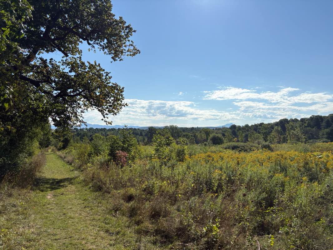 walking near me in Veterans Memorial Park (Dorset Park) in autumn