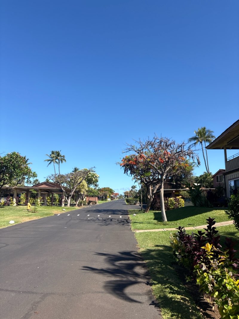 walking near me in Lahaina Banyan Court in summer