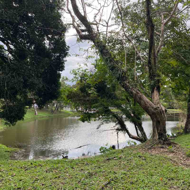 Wan Nurul Azimah post 1