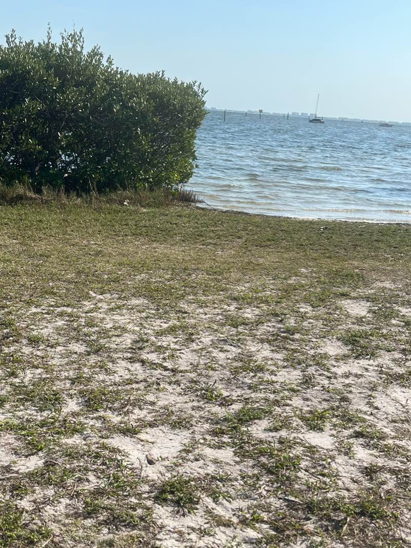 walking near me in Baseball Field in winter