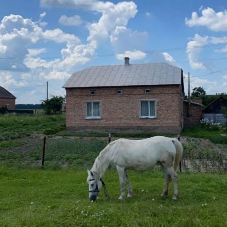 Sara Almohafith. profile