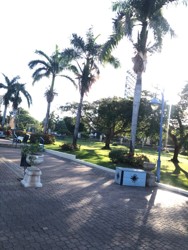 walking near me in Emancipation Park in winter