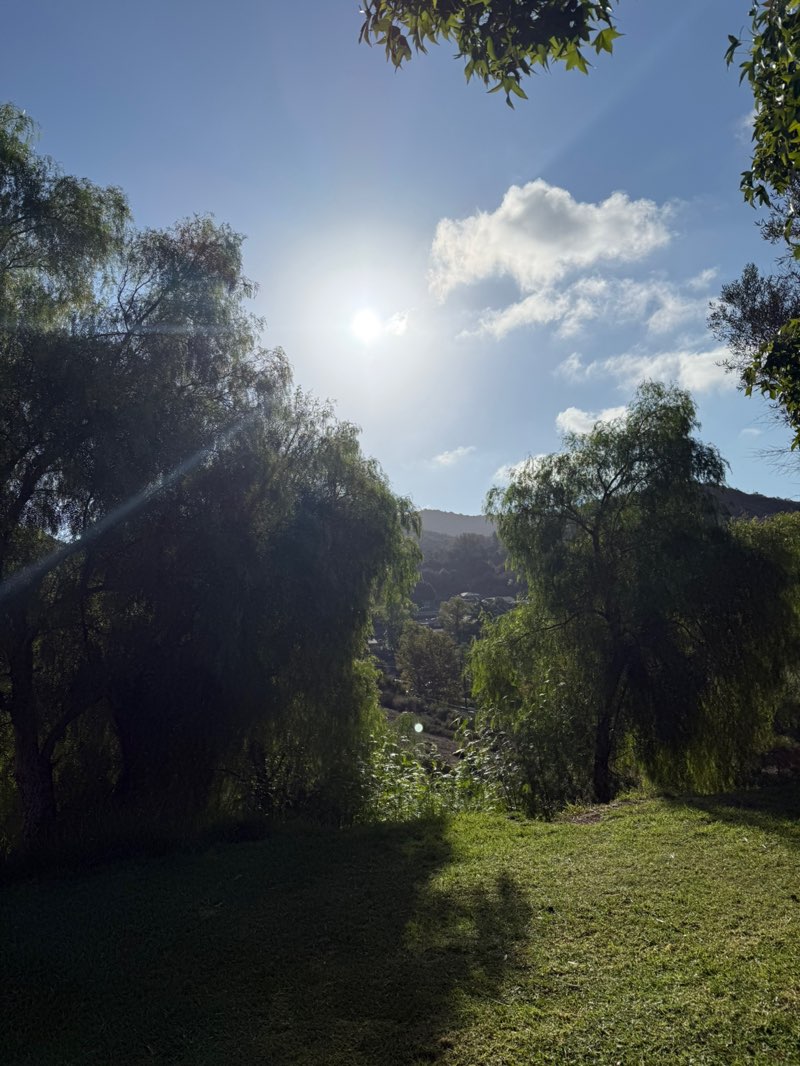 walking near me in Montrose Community Park in autumn