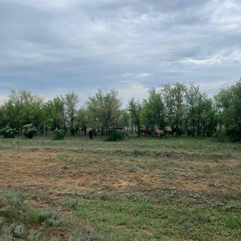 Салауатты өмір салты Гульжихан Бегайдарова post image